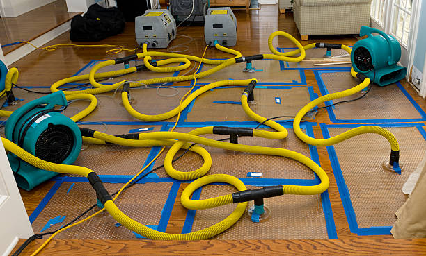 Professional Basement Flood Cleanup technician working in Bryn Mawr, PA